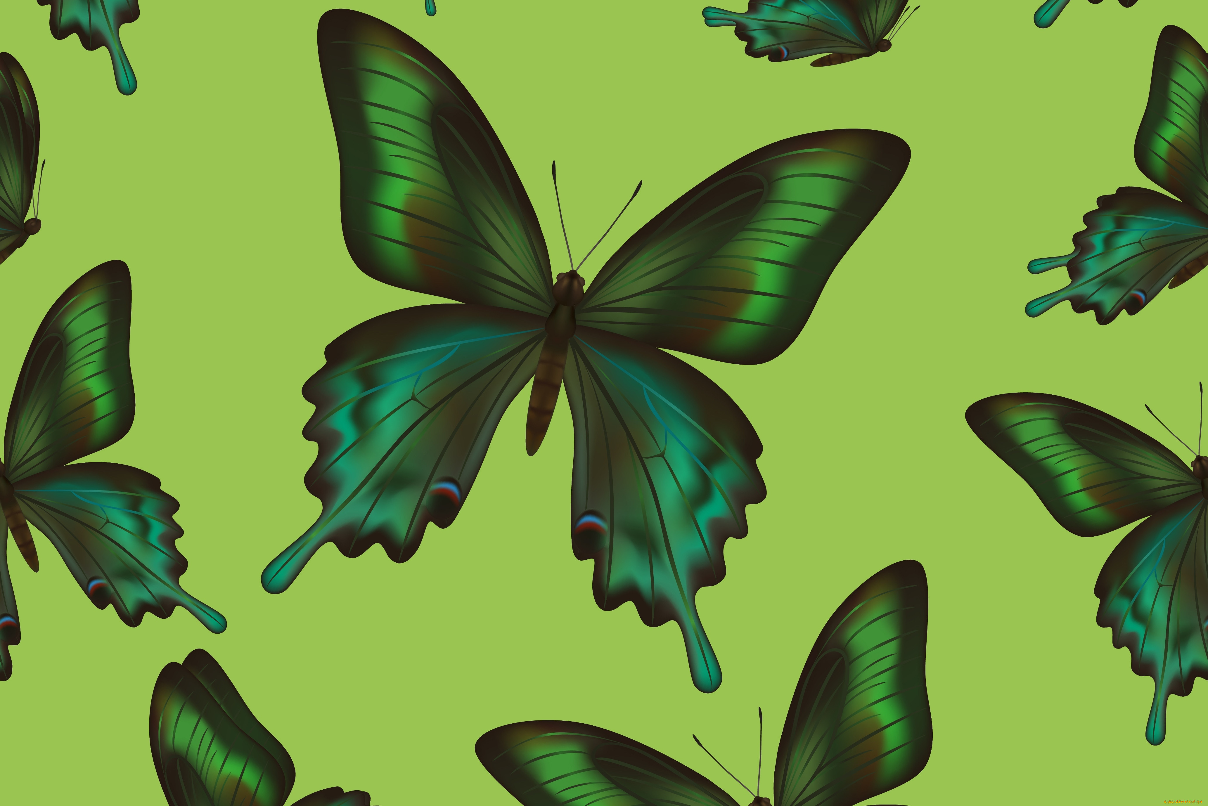  , , background, butterflies, texture, , 